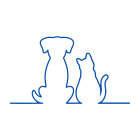 1.2.7 - Mascotas